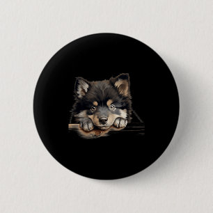 Finnischer Lapphund Hund Mama Papa spähender Welpe Button