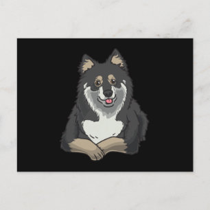 Finnischer Lapphund mit ausgestopftem Tier Postkarte