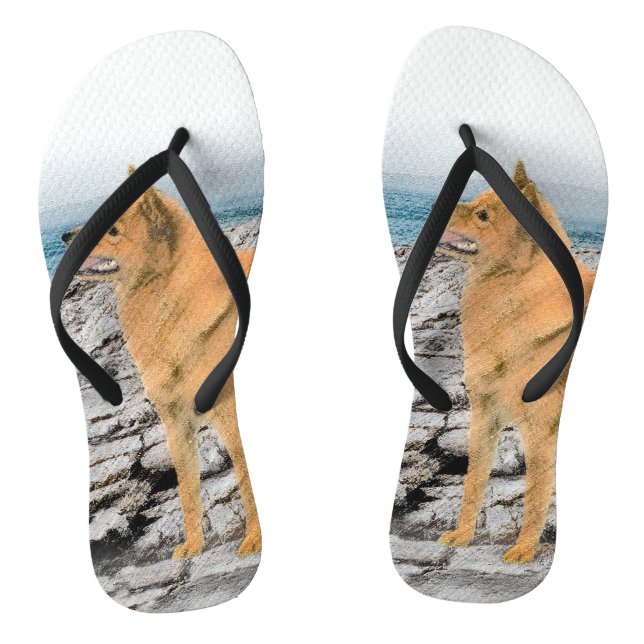 Finnischer Spitz beim Seashore-Gemälde - Hundekuns Flip Flops (Fußbett)