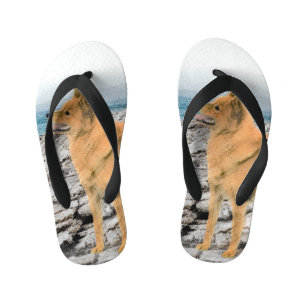 Finnischer Spitz beim Seashore-Gemälde - Hundekuns Kinderbadesandalen
