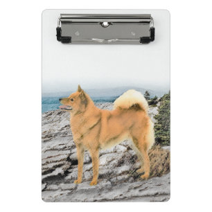 Finnischer Spitz beim Seashore-Gemälde - Hundekuns Mini Klemmbrett