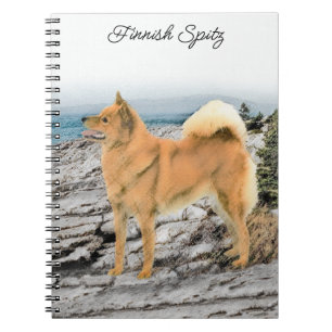 Finnischer Spitz beim Seashore-Gemälde - Hundekuns Notizblock