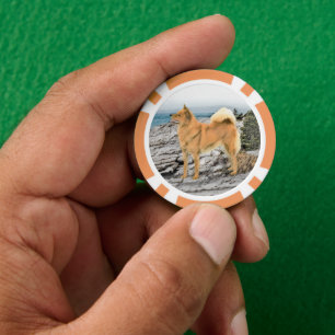 Finnischer Spitz beim Seashore-Gemälde - Hundekuns Pokerchips