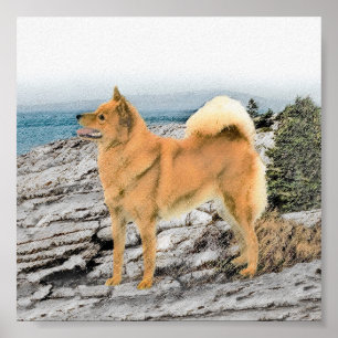 Finnischer Spitz beim Seashore-Gemälde - Hundekuns Poster