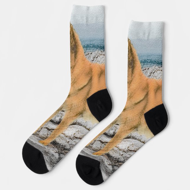 Finnischer Spitz beim Seashore-Gemälde - Hundekuns Socken (Linkes Detail)
