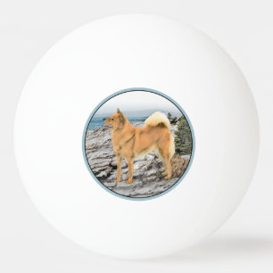 Finnischer Spitz beim Seashore-Gemälde - Hundekuns Tischtennisball