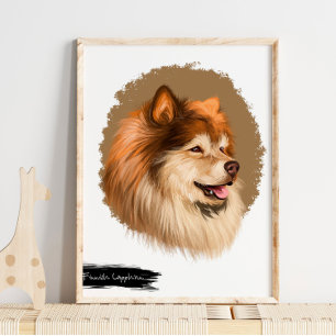 Finnisches Lapphund Dog Portrait   Portraitwand fü Poster