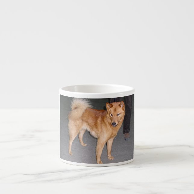Finnish_Spitz full.jpg Espressotasse (Vorderseite)