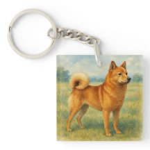 Finnish Spitz
