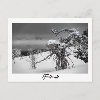 Finnland Alien Baumpostkarte Postkarte