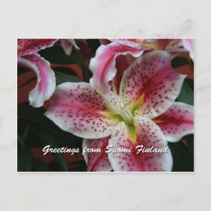 Finnland in Blume, 7. in Serie Postkarte