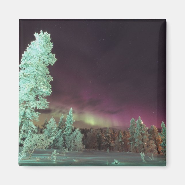 Finnland, Lappland, Kakslauttanen, Magnet (Vorne)