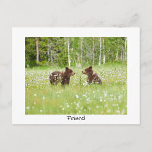 Finnland trägt die Natur-Postkarte Postkarte