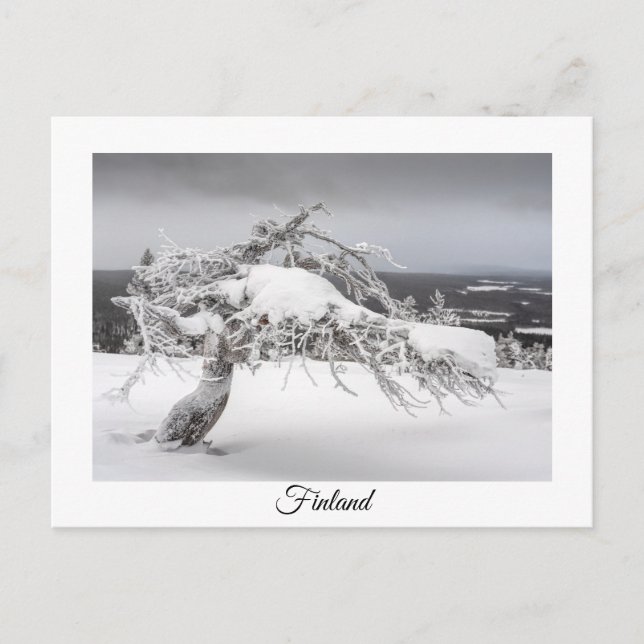 Finnland Wintersouvenir Postkarte (Vorderseite)