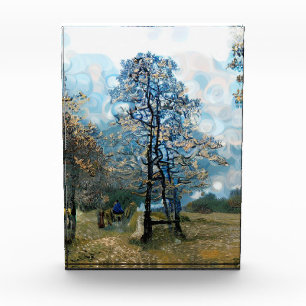 FIR TREE FOTOBLOCK
