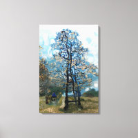 FIR TREE