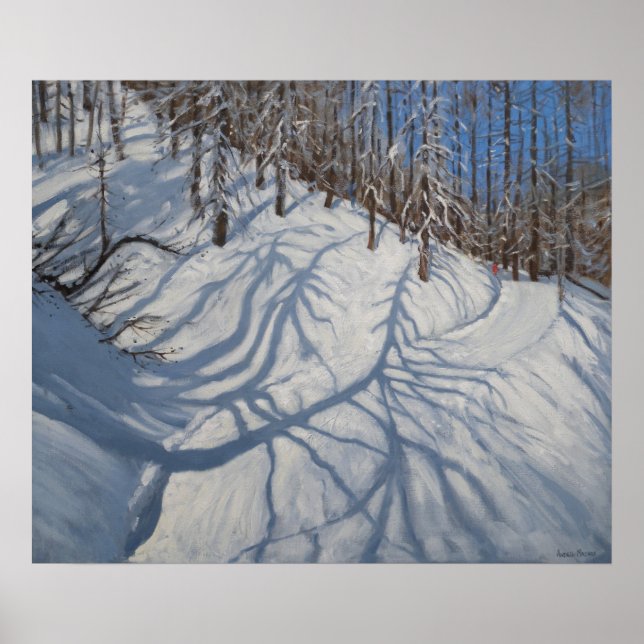 Fir Tree Shadows Tignes 2009 Poster (Vorne)