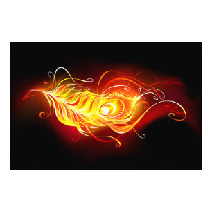 Fire Peacock Feather Fotodruck