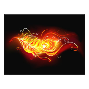 Fire Peacock Feather Fotodruck