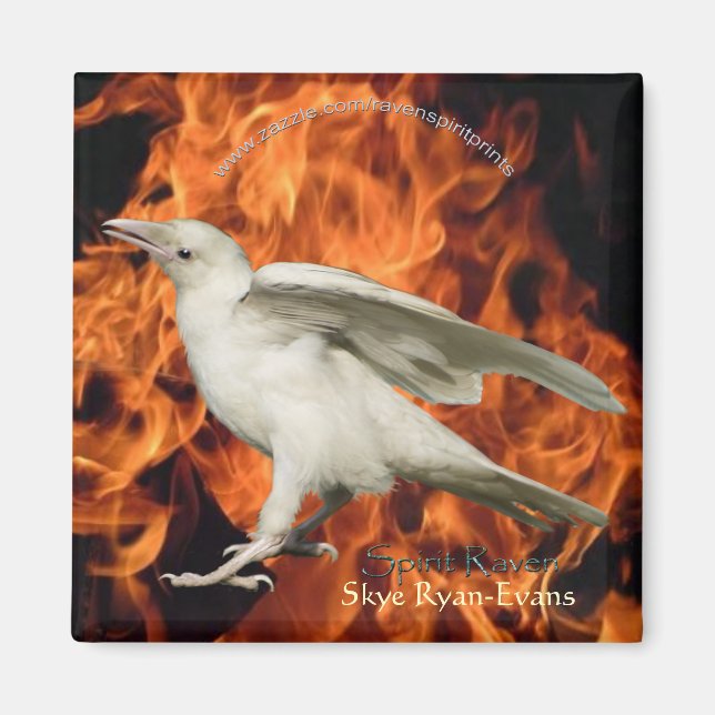 FIRE RAVEN Magnet (Vorne)