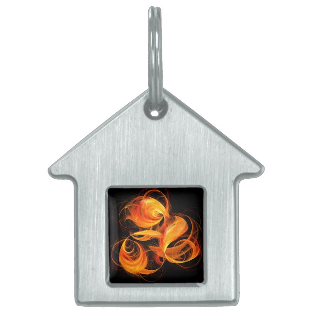 Fireball Abstrakt Art House Tiermarke (Vorderseite)
