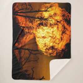 FIREBALL DER APOCALYSPE SHERPADECKE