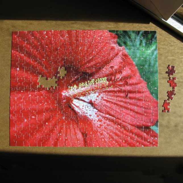 Fireball Hibisken Blume mit Raindropp Foto Puzzle (Red Fireball Hibiscus Flower With Raindrops Photo Jigsaw Puzzle, in situ)