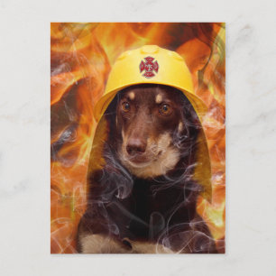 Firedog Postkarte