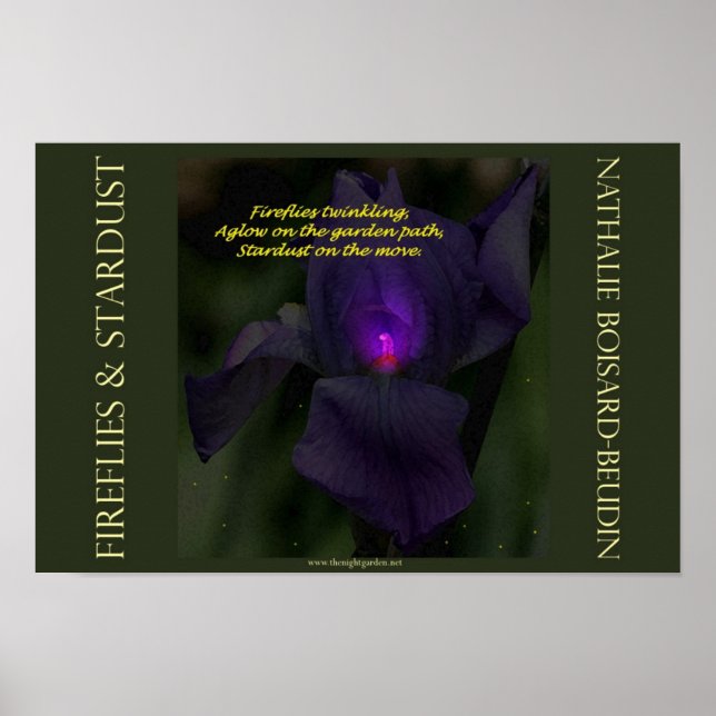 "Fireflies & Stardust" Portfolio Poster (16,5 x 11 (Vorne)