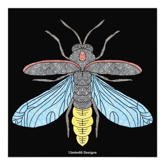 Firefly (schwarz) - Foto Print (Vorne)