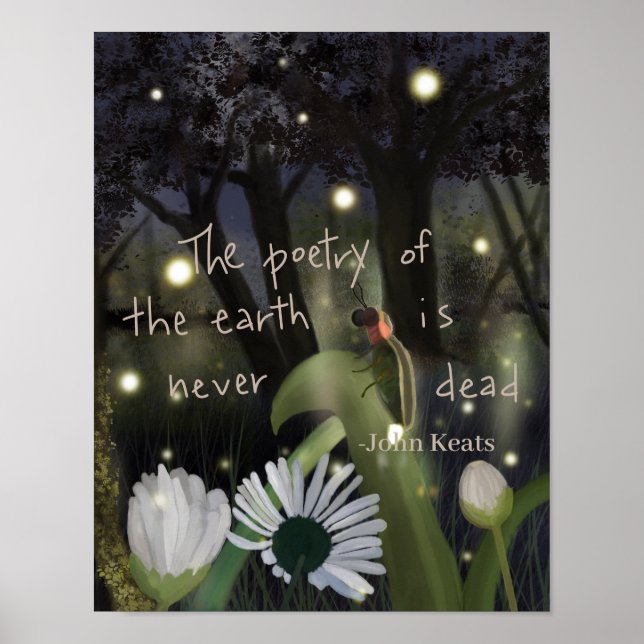 Firefly Sky Poster (Vorne)