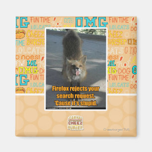 Firefox Ausschüsse Magnet