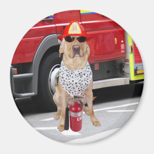 Firehouse Dog Magnet