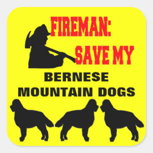 Fireman Rettete meine drei Berner Hunde Quadratischer Aufkleber