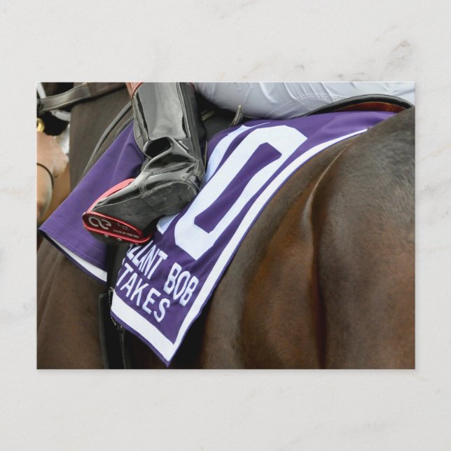 Firenze Fire Saddlecloth Postkarte (Vorderseite)