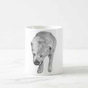 Fireside Labrador in Soft Winter Shading Kaffeetasse