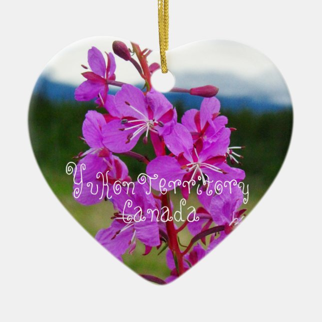 Fireweed-Nahaufnahme; Yukon-Territorium, Kanada Keramikornament (Vorne)