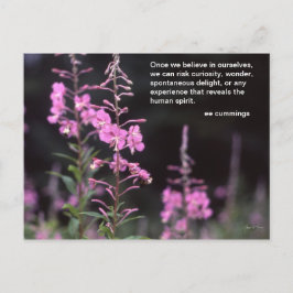 Fireweed-Pflanzen - EEcummingszitat Postkarte