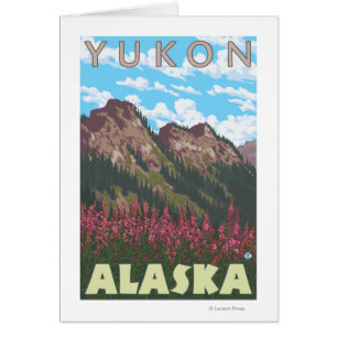 Fireweed u. Berge - Yukon, Alaska