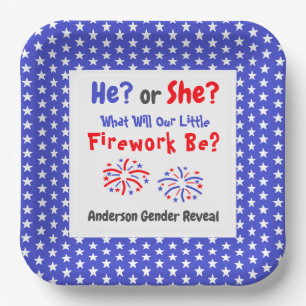 Firework American Gender Reveal Pappteller