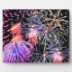 Fireworks Display Fotoplatte (Vorderseite)