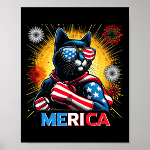 Fireworks Us Flag Patriotic Black Cat Poster