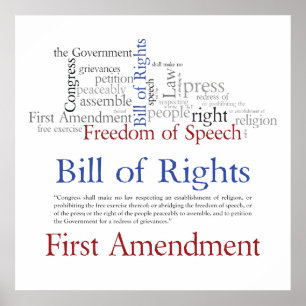 First Amendment Rights - Freedom of Speech Poster