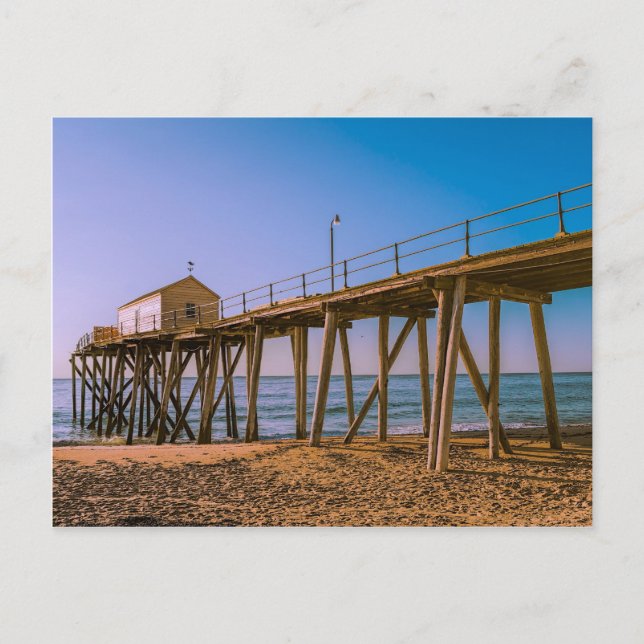 First Ave Pier, Belmar, NJ Postkarte (Vorderseite)