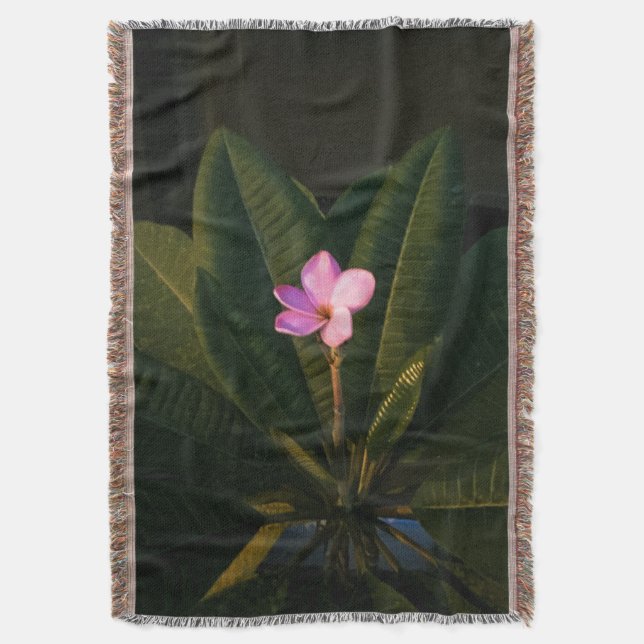 First Bloom, Plumeria Decke (Vorderseite Vertikal)