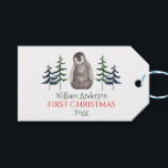 First Christmas Baby Penguin & Tree Personalisiert Geschenkanhänger<br><div class="desc">Niedlicher Aquarellbaby Pinguin und Weihnachtsbaum - erste Weihnachtszeit - individualisierbare Namensschild. Frohe Weihnachten!</div>