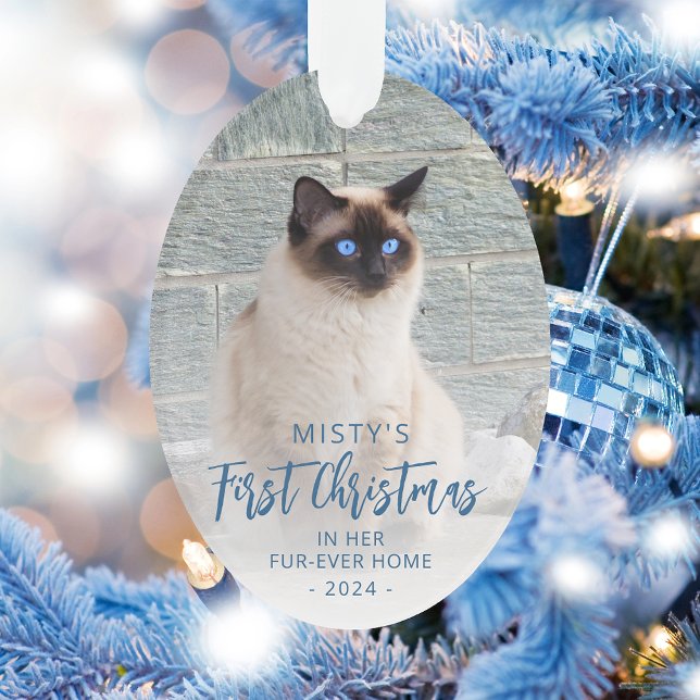 First Christmas Forever Zuhause Pet Foto Blue Oval Ornament (Von Creator hochgeladen)