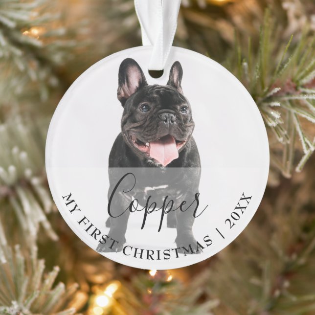 First Christmas Pet 2 Photo Script Name Ornament (Baum)