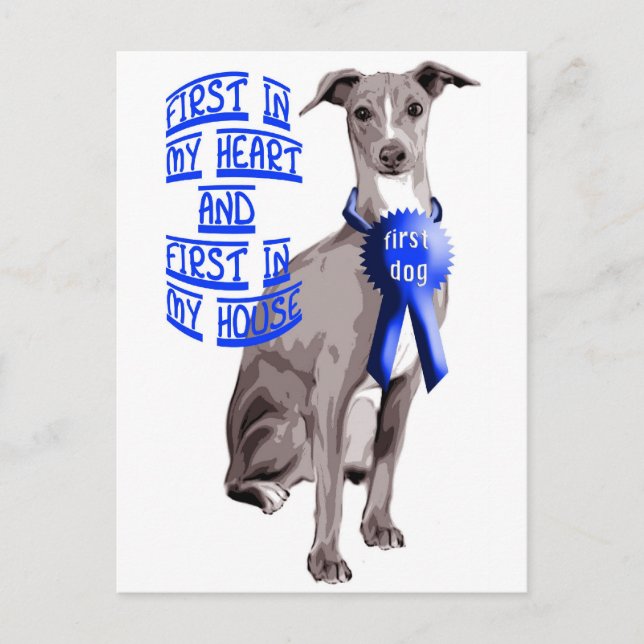 First Dog Italian Greyhound Postkarte (Vorderseite)