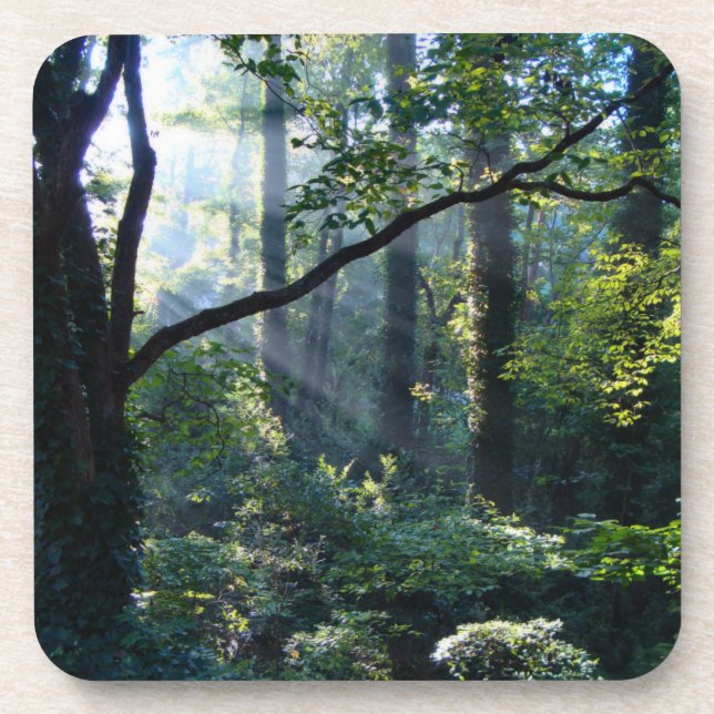 First Light Cork Untersetzer (Vorderseite)